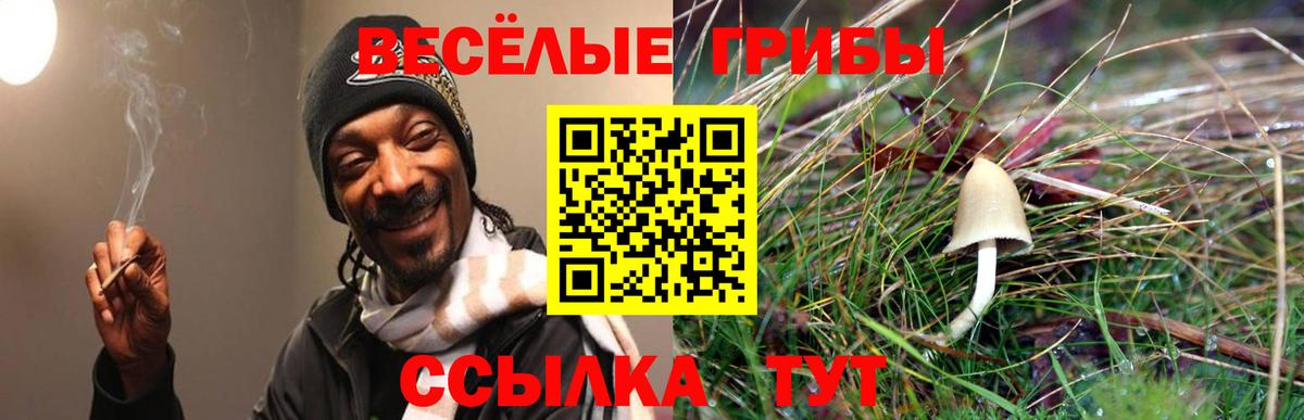 Галлюциногенные грибы Magic Shrooms  дарнет шоп  Костомукша  Вход с VPN 