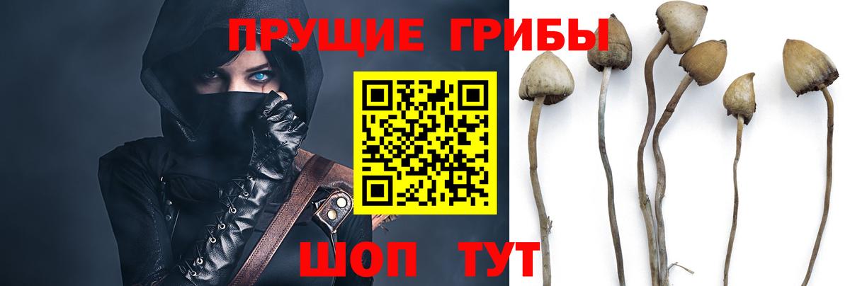 Псилоцибиновые грибы ЛСД Костомукша